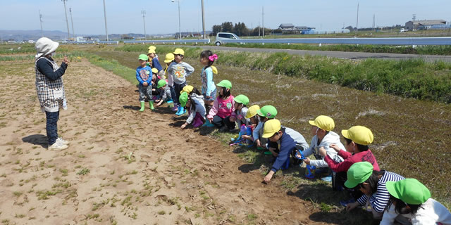 ほのぼの保育園